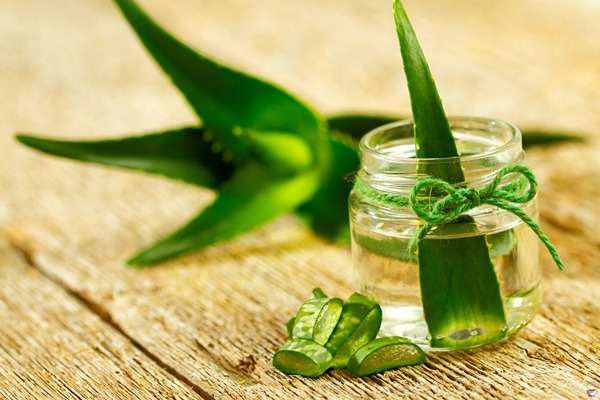 قیمت ژل آلوئه ورا اصل با کیفیت ارزان + خرید عمده