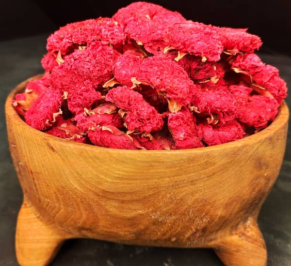 قیمت خرید گلنار فارسی برای رحم + فروش ویژه