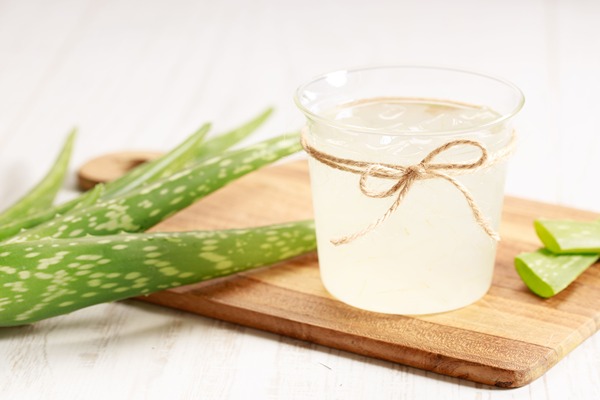 قیمت خرید آلوئه ورا خوردنی + فروش ویژه