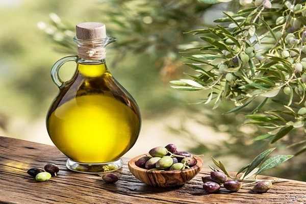 قیمت خرید روغن زیتون غنچه + فروش ویژه