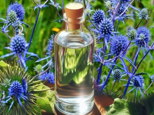 قیمت خرید عرق بوقناق برای قند خون با فروش عمده