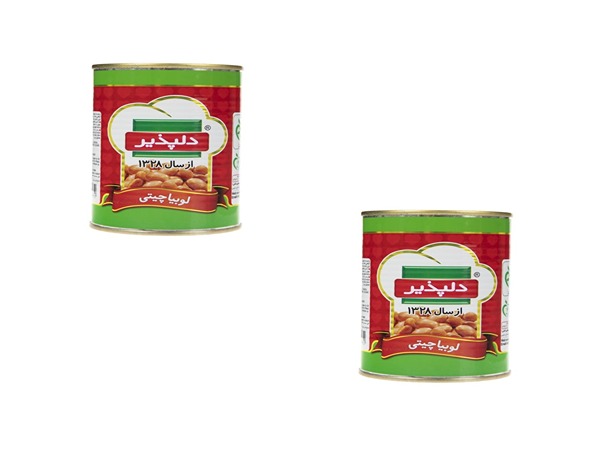 قیمت خرید کنسرو لوبیا چیتی دلپذیر عمده به صرفه و ارزان