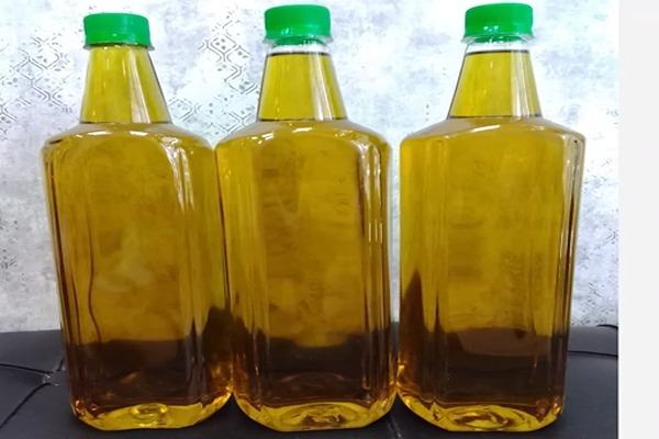فروش روغن زیتون یک لیتری + قیمت خرید به صرفه