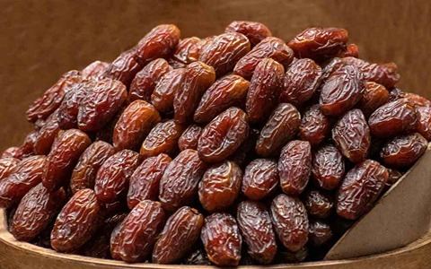 قیمت خرما زاهدی درجه یک با کیفیت ارزان + خرید عمده