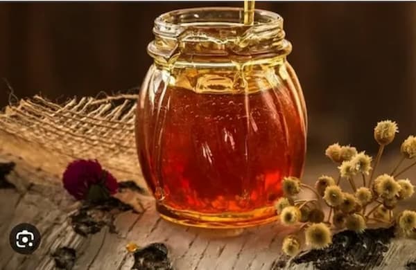 خرید عسل چهل گیاه اردبیل + قیمت فروش استثنایی