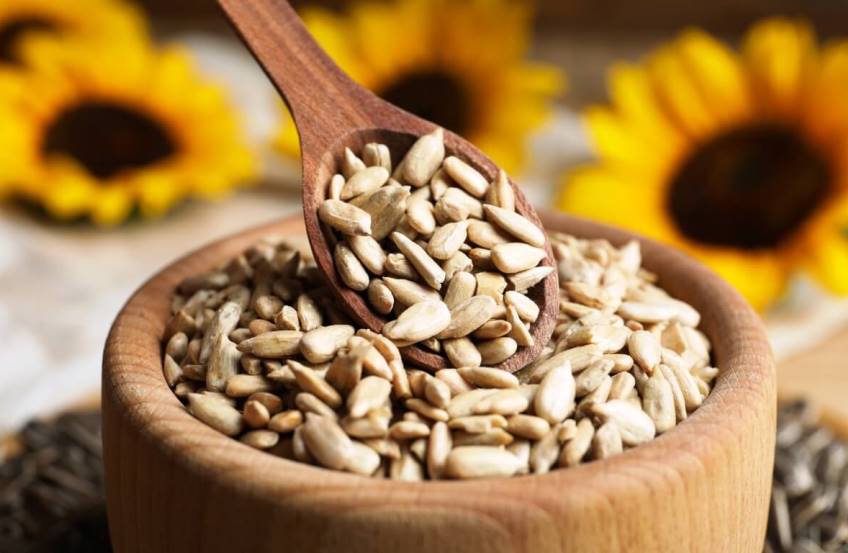 قیمت خرید مغز تخمه آفتابگردان شور + فروش عمده