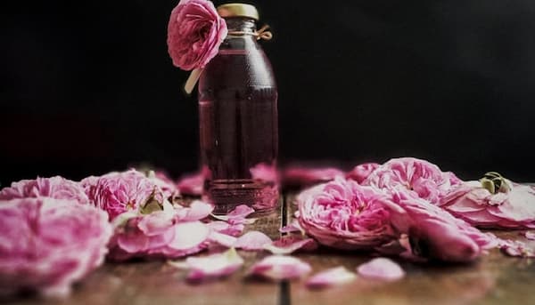 قیمت خرید گلاب ربیع صادراتی با فروش عمده