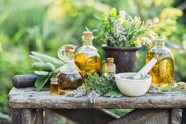 خرید فراورده های گیاهی + قیمت فروش استثنایی