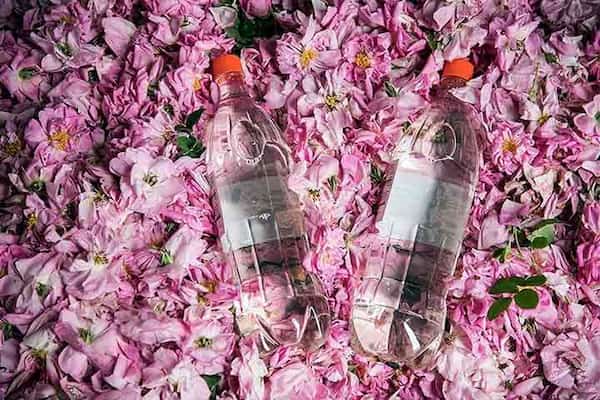 فروش فراورده های گیاهی + قیمت خرید به صرفه