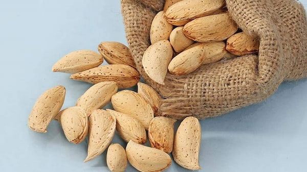 خرید و قیمت بادام سنگی دیر گل + فروش عمده