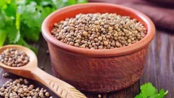 خرید و قیمت تخم گشنیز کیلویی + فروش عمده