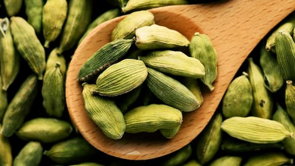 خرید هل سبز هندی + قیمت فروش استثنایی