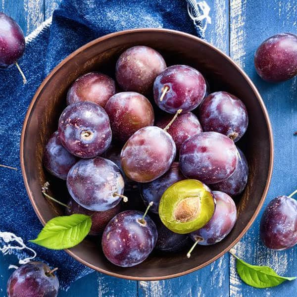 قیمت خرید آلو جنگلی ریز + فروش ویژه