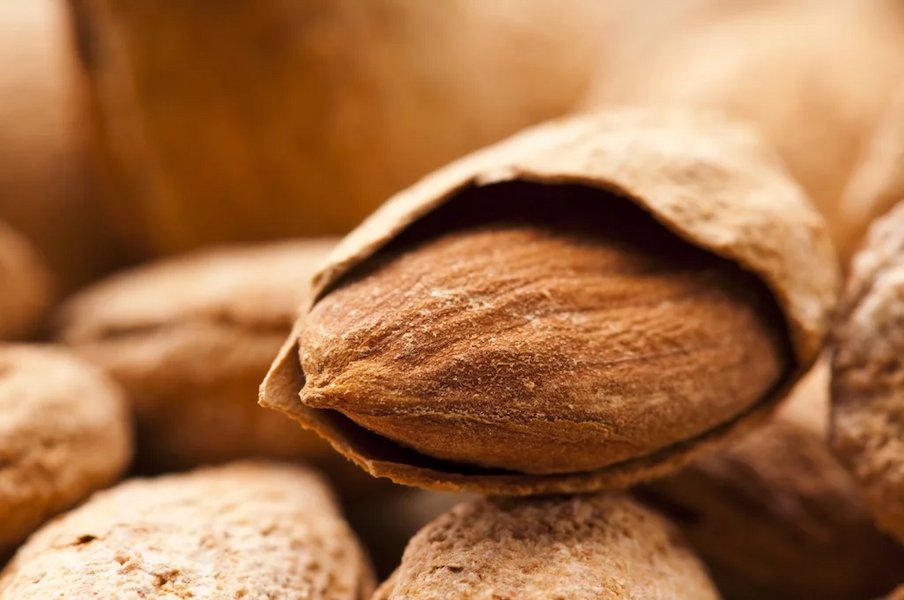 خرید و قیمت بادام درختی کاغذی + فروش عمده