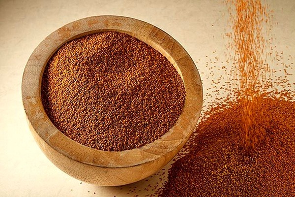فروش خاکشیر درجه یک + قیمت خرید به صرفه