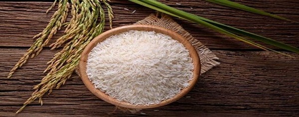قیمت خرید برنج هاشمی مختاری + فروش عمده