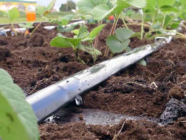 قیمت ارزان + فروش فوق العاده نوار تیپ 20 سانتی