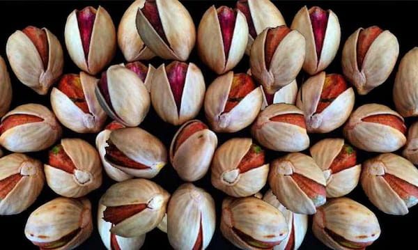 خرید پسته احمد آقایی شور + قیمت عالی باکیفیت