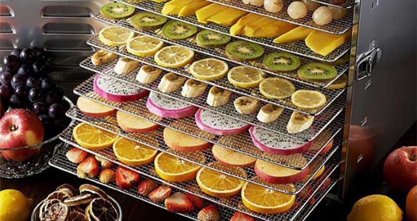 خرید و قیمت میوه خشک صنعتی + فروش عمده