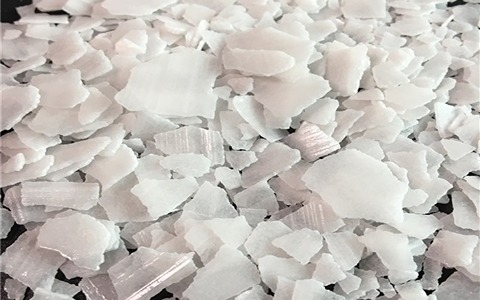 خرید سود پرک لوتوس + قیمت فروش استثنایی