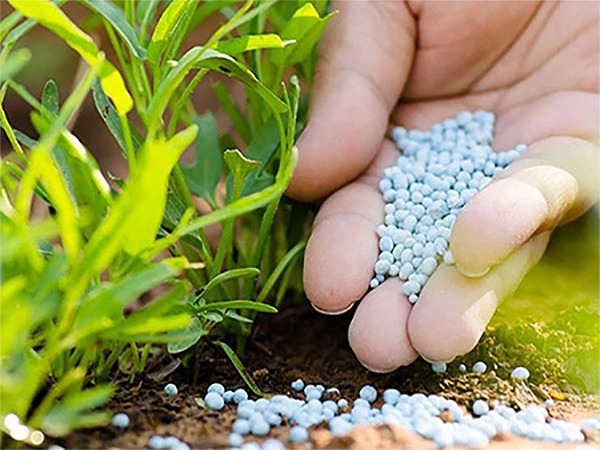خرید و قیمت اوره ۴۶ درصد صادراتی + فروش عمده