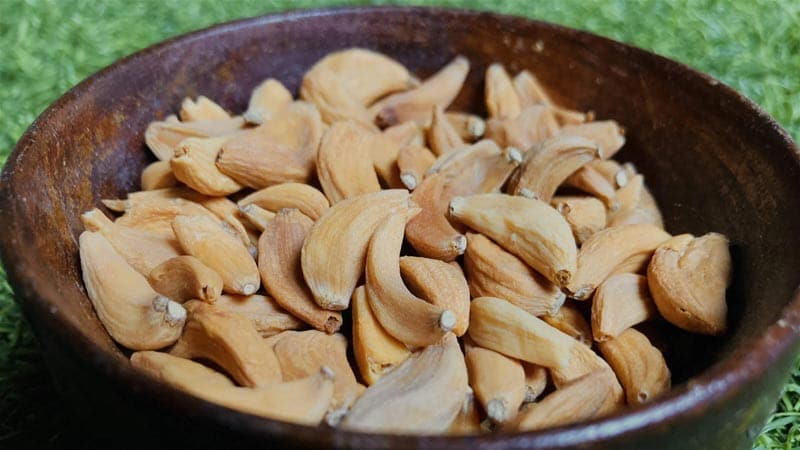 خرید و فروش سیر خشک عمده با شرایط فوق العاده