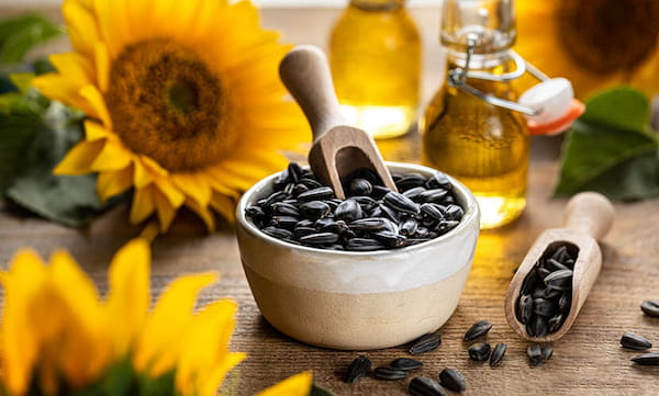 قیمت تخمه آفتابگردان خام با کیفیت ارزان + خرید عمده