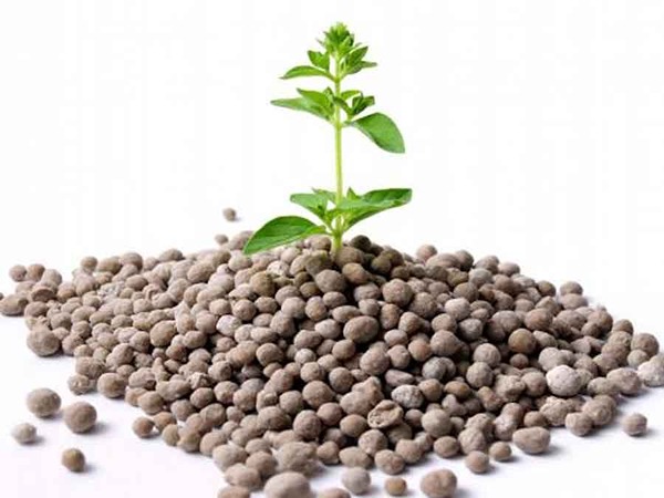 قیمت خرید دی آمونیوم فسفات چینی با فروش عمده