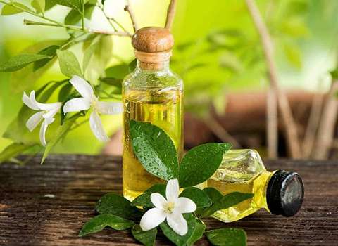 قیمت خرید عرق بیدمشک کوچک با فروش عمده