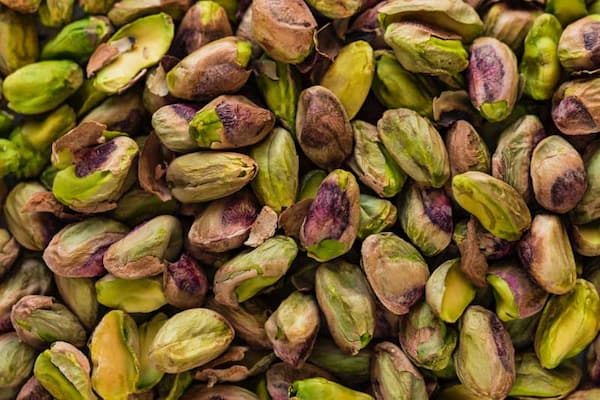 قیمت پسته پایه اکبری + خرید باور نکردنی
