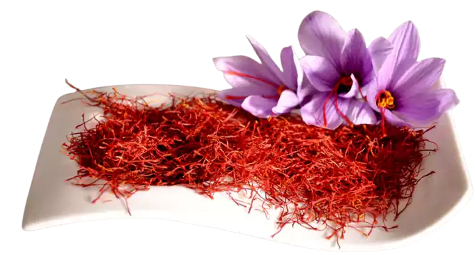 قیمت خرید زعفران 2 گرمی + فروش ویژه