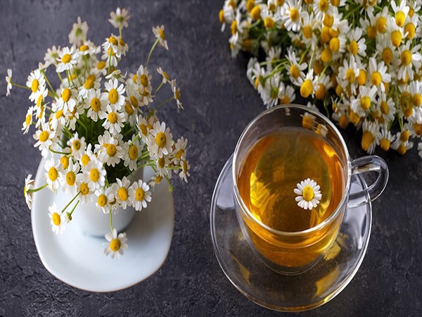 قیمت خرید عرق بابونه و عسل عمده به صرفه و ارزان