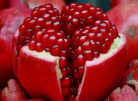 فروش انار صادراتی یزد + قیمت خرید به صرفه