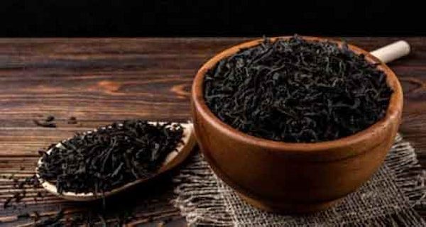 قیمت خرید چای کرک ایرانی با فروش عمده