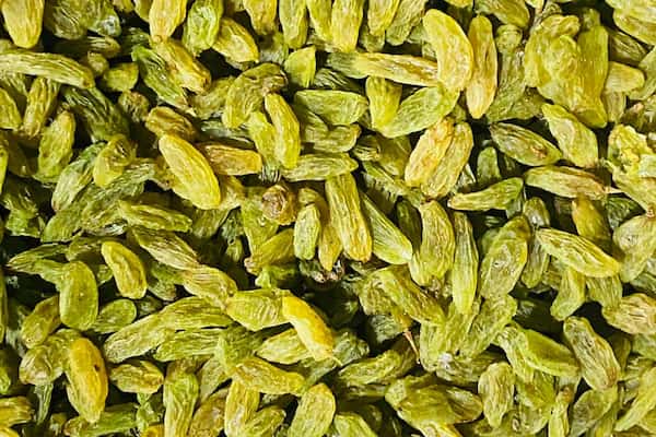 قیمت خرید کشمش سبز افتابی + فروش ویژه