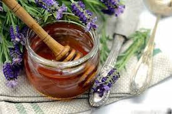 قیمت عسل درمانی دکتر بیز + خرید باور نکردنی
