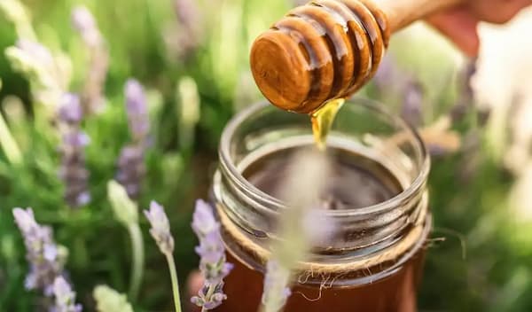 فروش عسل درمانی چشم + قیمت خرید به صرفه