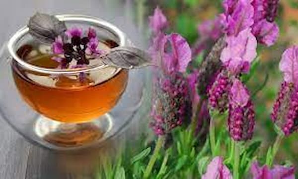 خرید و قیمت عسل درمانی جمشید خدادادی + فروش عمده