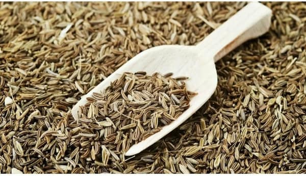 قیمت خرید زیره سیاه کوهی + فروش ویژه