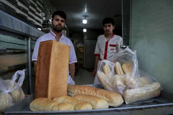 خرید خط تولید نان تست + قیمت فروش استثنایی