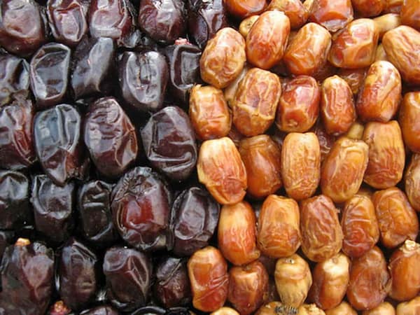 قیمت خرید خرما زاهدی درجه یک با فروش عمده