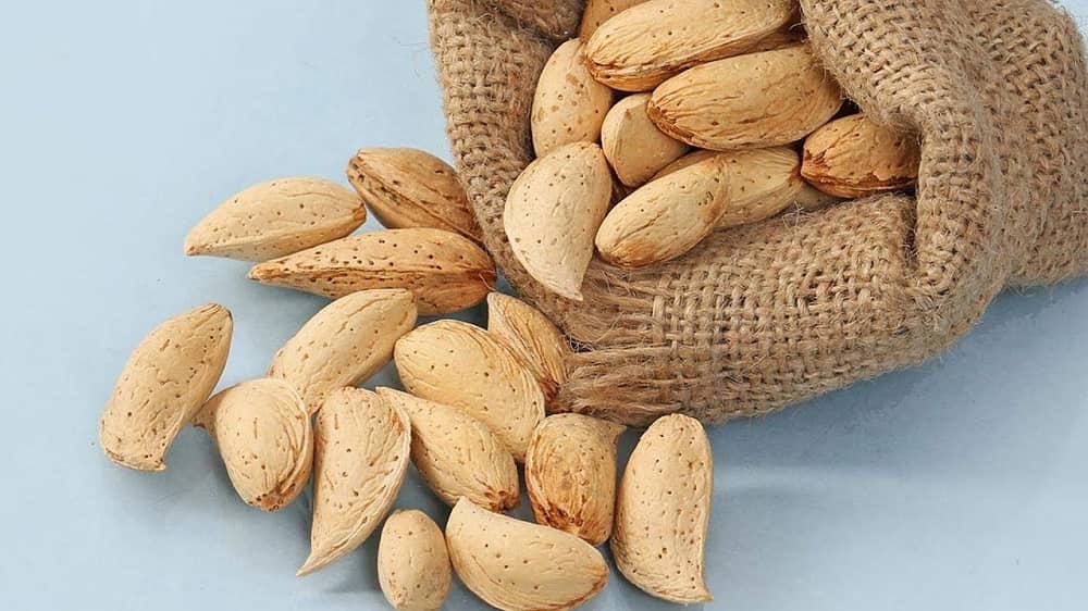 قیمت خرید مغز بادام سنگی درجه یک + فروش ویژه