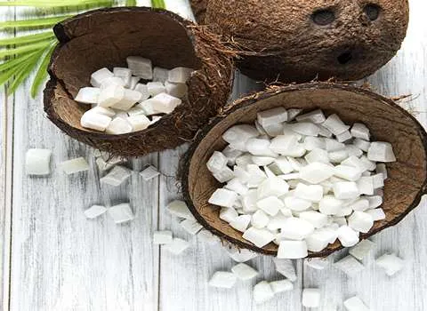 خرید نارگیل خشک شده + قیمت فروش استثنایی