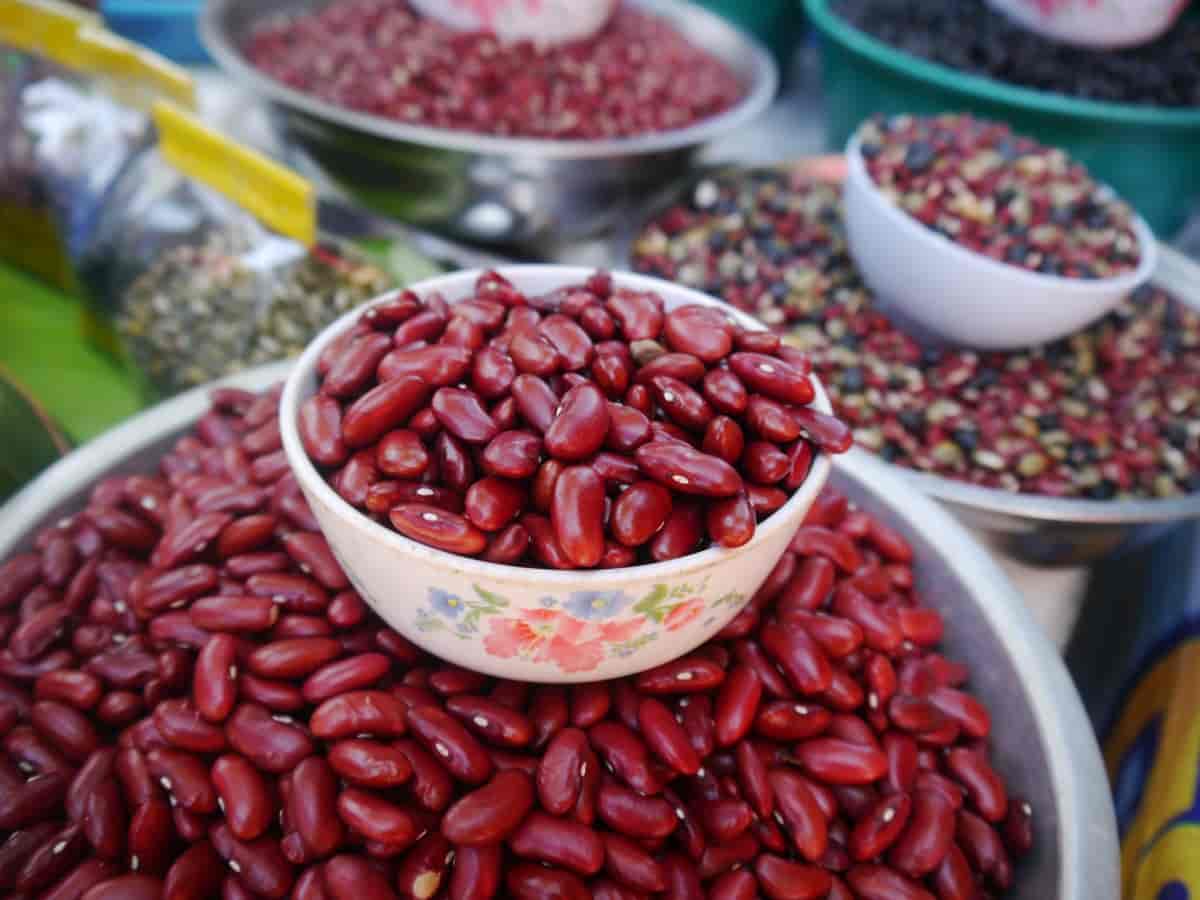 فروش لوبیا قرمز فشنگی + قیمت خرید به صرفه