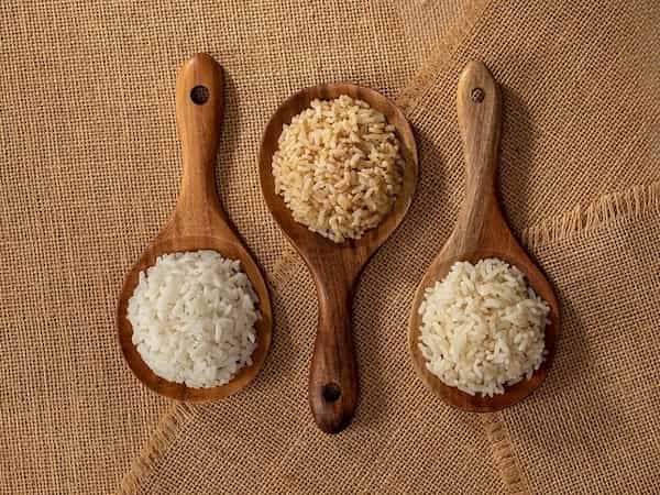 قیمت خرید برنج طارم جنوب + فروش ویژه