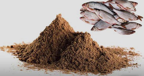 خرید پودر ماهی برای انسان + قیمت فروش استثنایی
