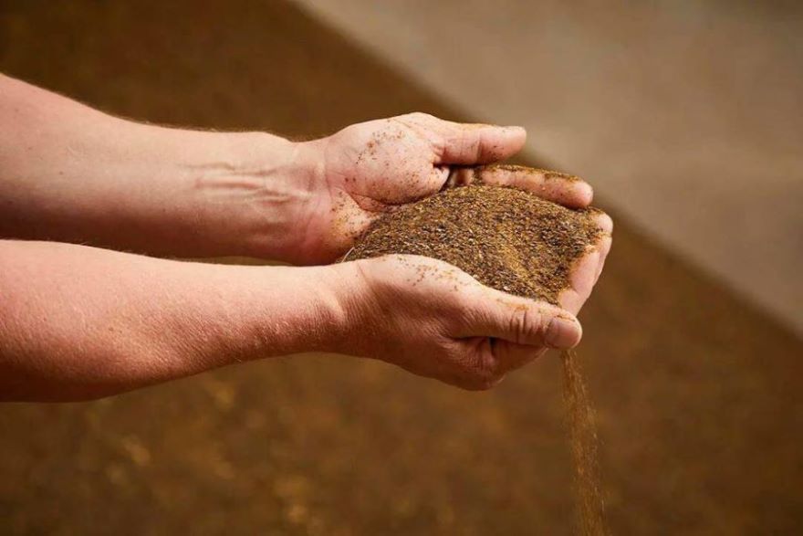 فروش پودر ماهی در تغذیه دام + قیمت خرید به صرفه