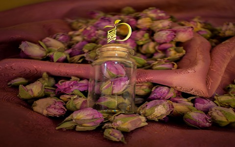 فروش گل محمدی صدپر لندنی + قیمت خرید به صرفه