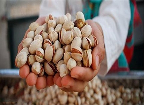 قیمت پسته ایرانی درجه یک با فروش عمده