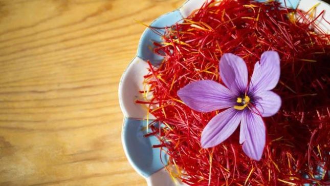 قیمت خرید زعفران نیم گرمی با فروش ویژه